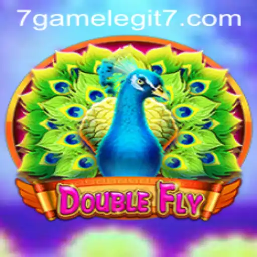 Exploring DoubleFly: A New Venture into the Gaming World